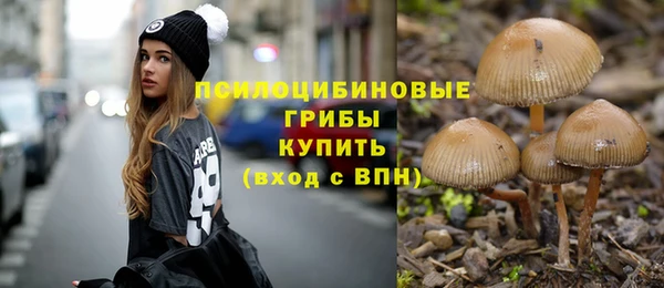 прущий лед Вязьма